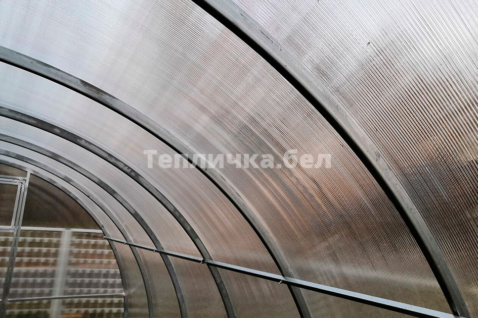 Фото Тепличка.бел Престиж